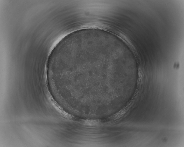 X0000113980788200910231707