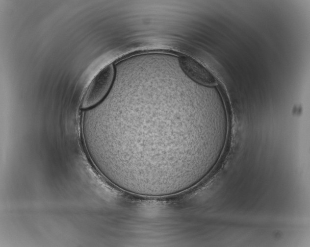 X0000113980789200910231707