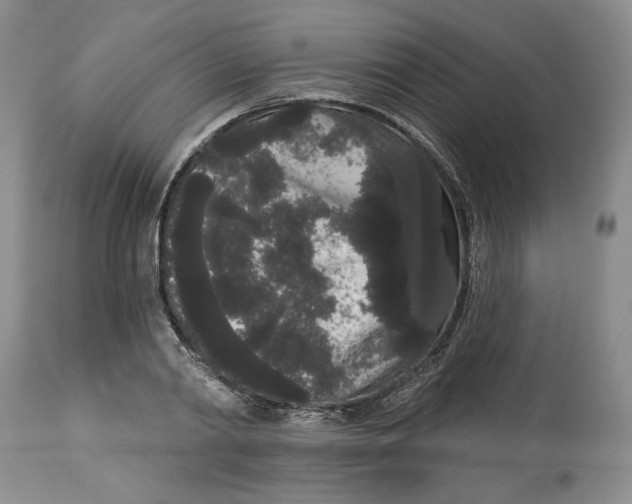 X0000113980790200910231707