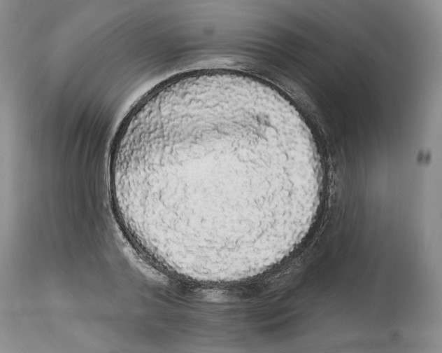 X0000113980792200910231707