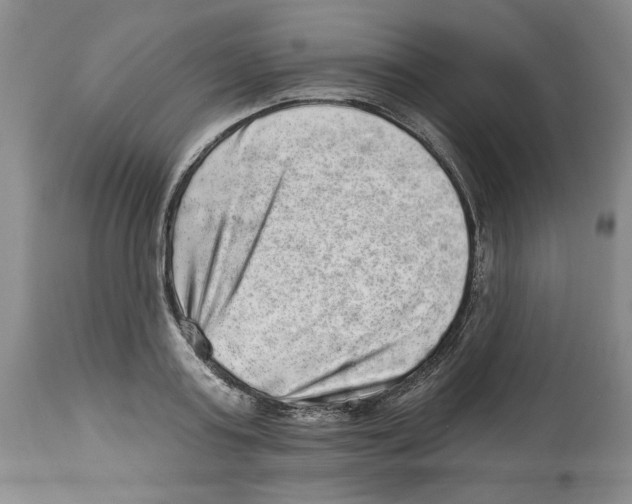 X0000113980795200910231707