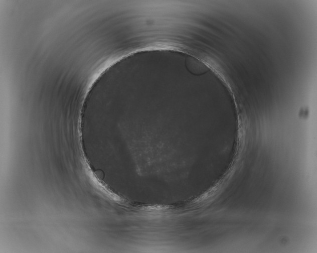 X0000113980797200910231707