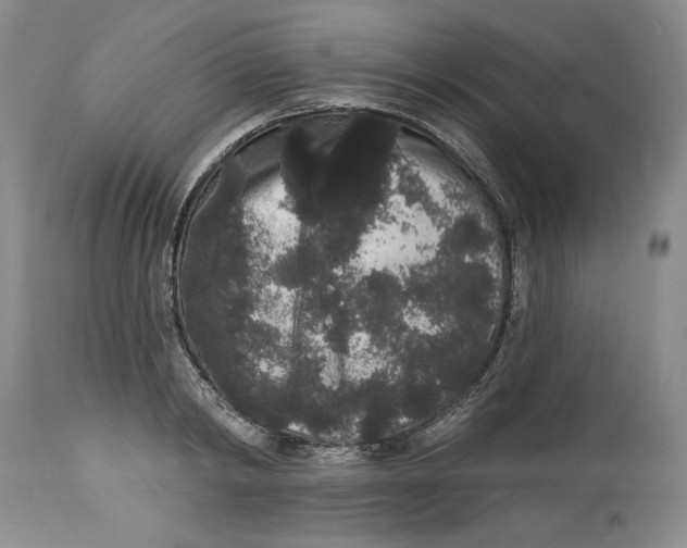 X0000113980798200910231707