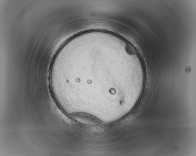 X0000113980799200910231707