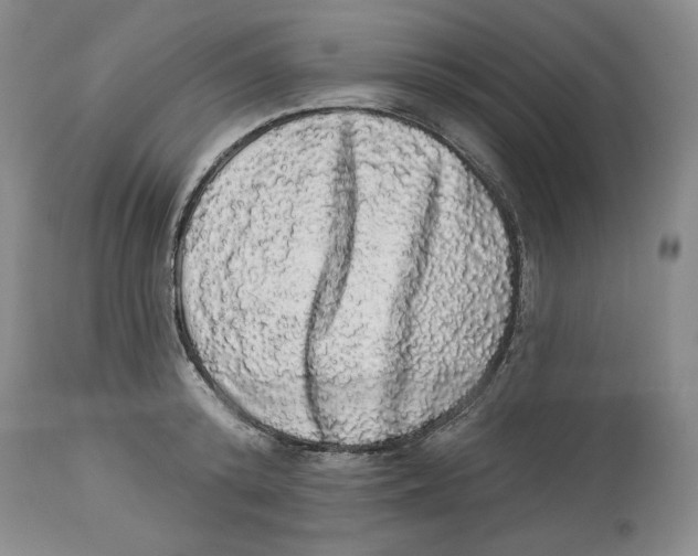 X0000113980800200910231707