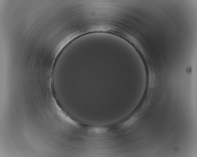 X0000113980802200910231707