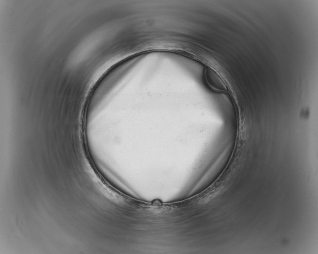 X0000113980803200910231707