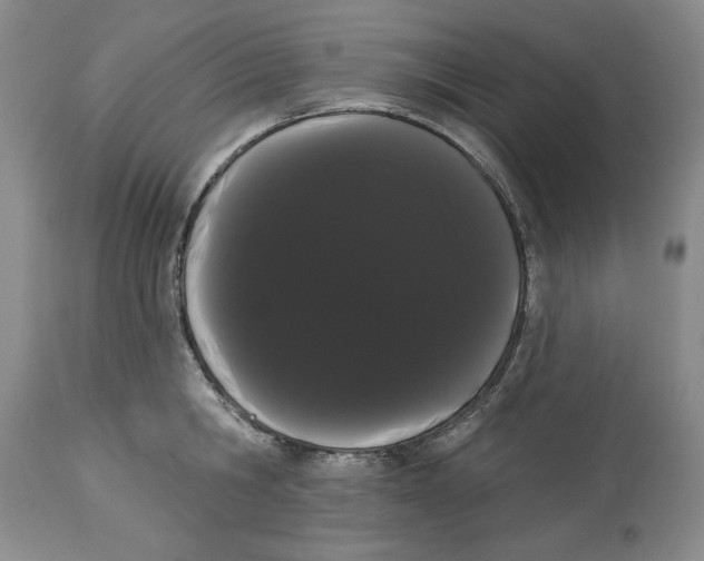 X0000113980806200910231707