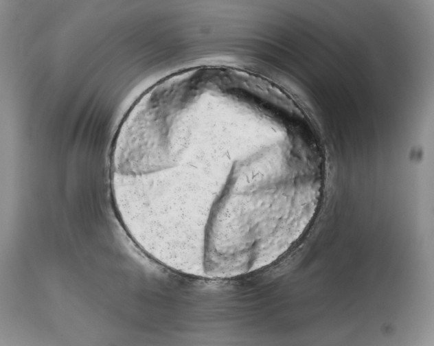 X0000113980808200910231706