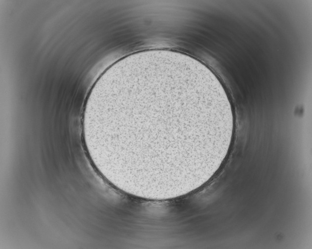 X0000113980810200910231706