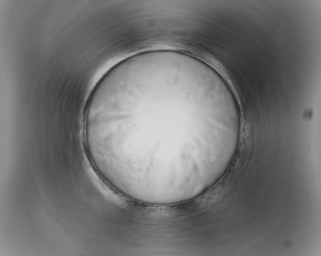 X0000113980811200910231706