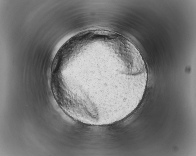 X0000113980812200910231706