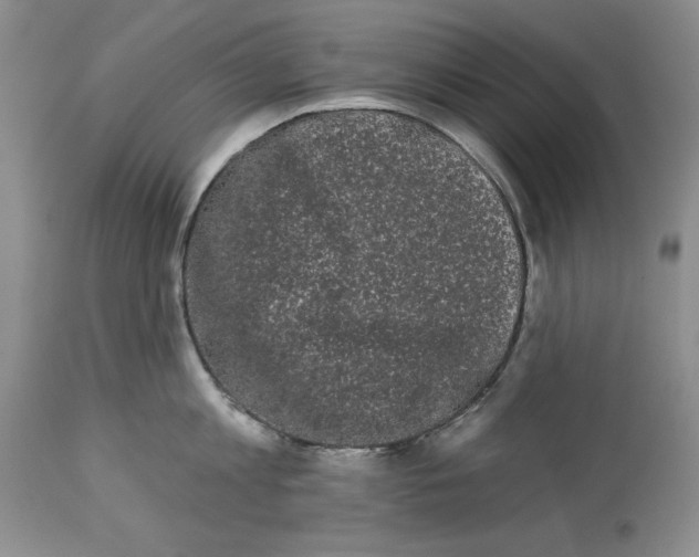 X0000113980813200910231706