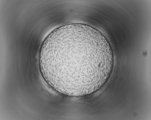 X0000113980814200910231706