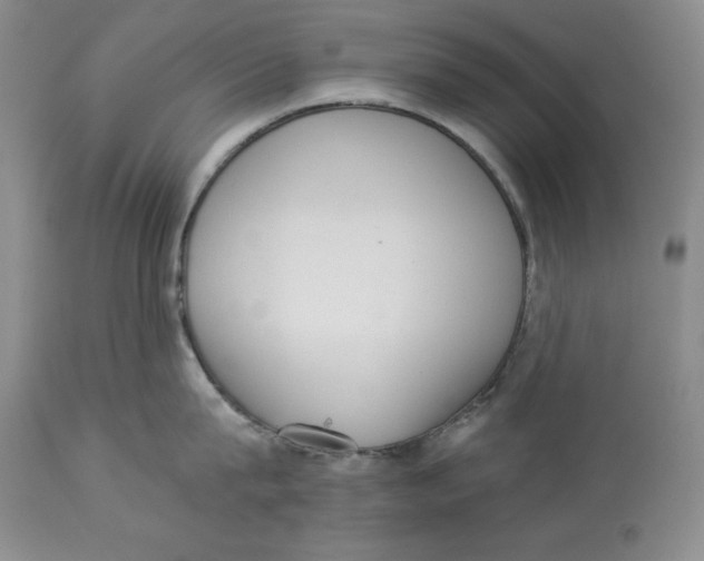 X0000113980815200910231706