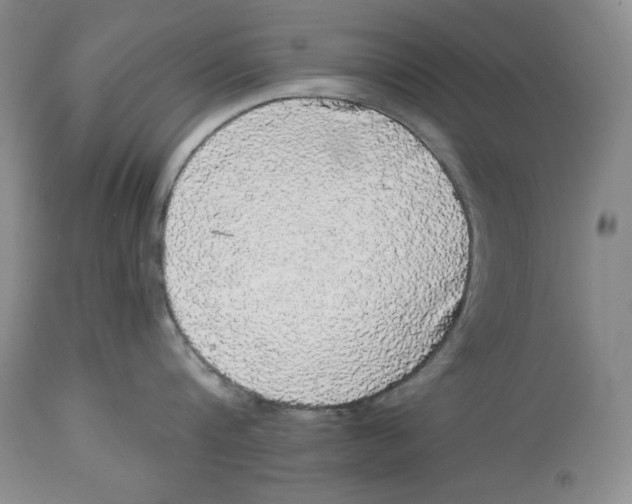 X0000113980816200910231706