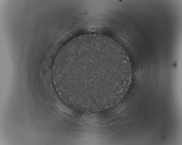 X0000113980817200910231706