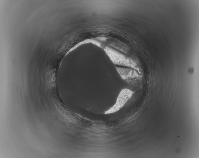 X0000113980818200910231706