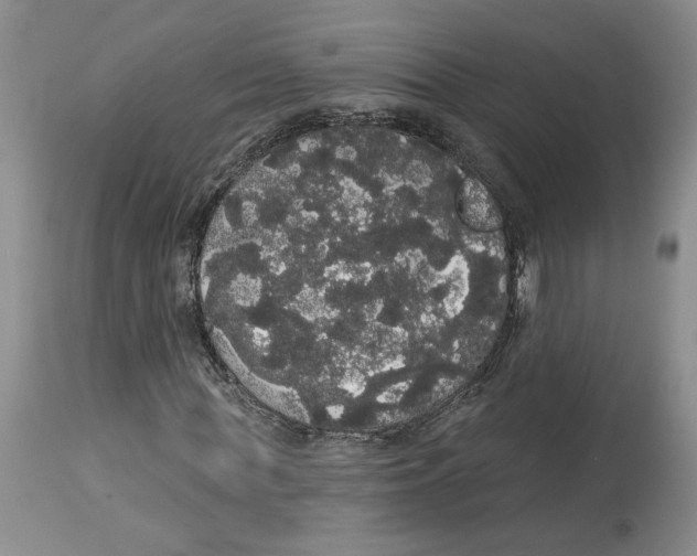 X0000113980819200910231706