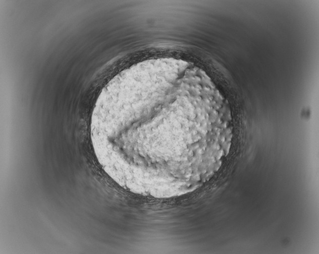 X0000113980821200910231706