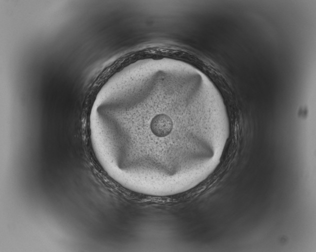 X0000113980822200910231706