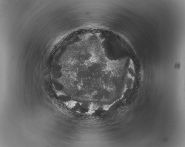 X0000113980823200910231706