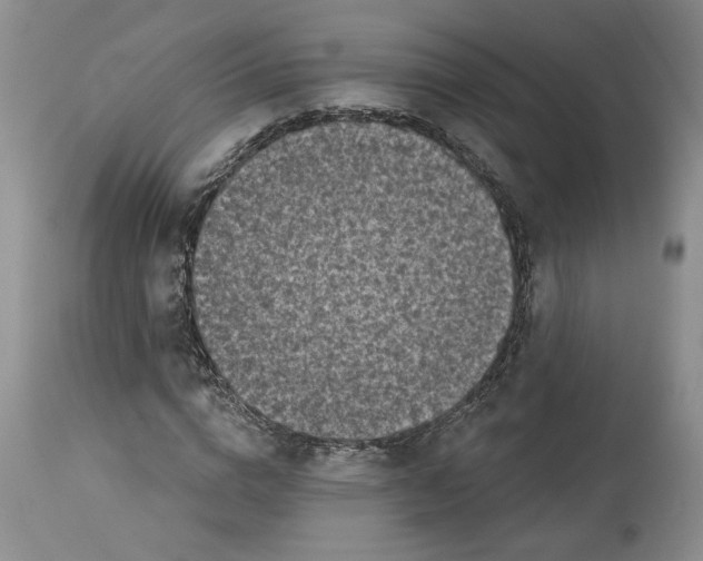 X0000113980824200910231706