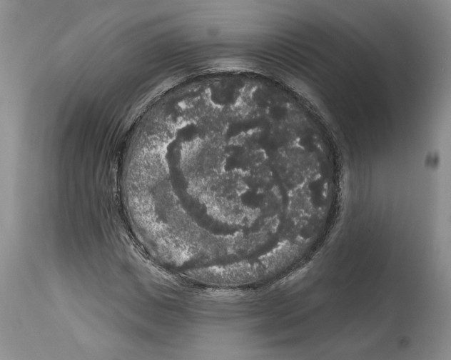 X0000113980825200910231706