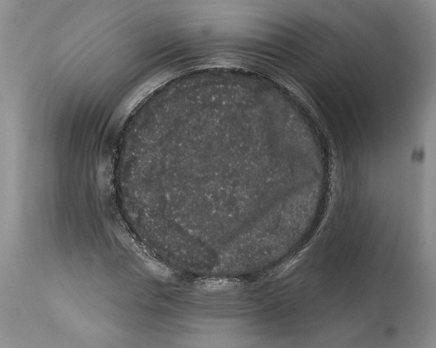 X0000113980826200910231706