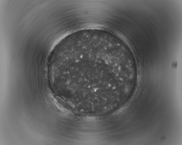 X0000113980827200910231706