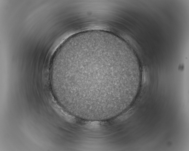 X0000113980828200910231706