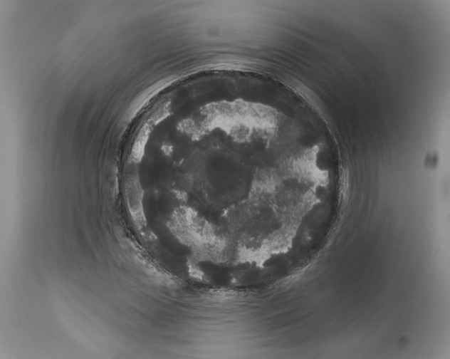 X0000113980829200910231706