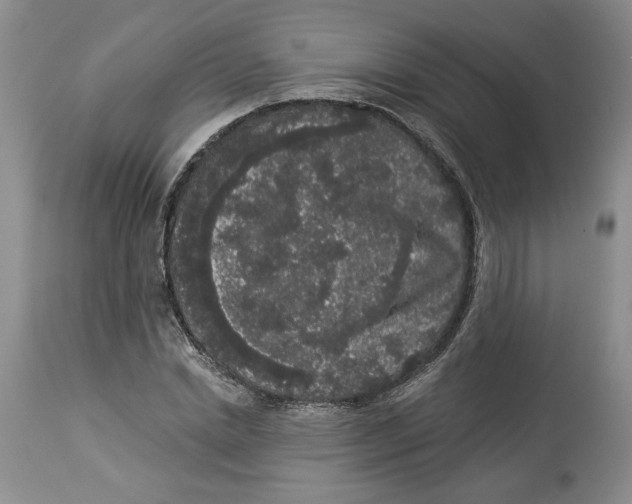 X0000113980830200910231706