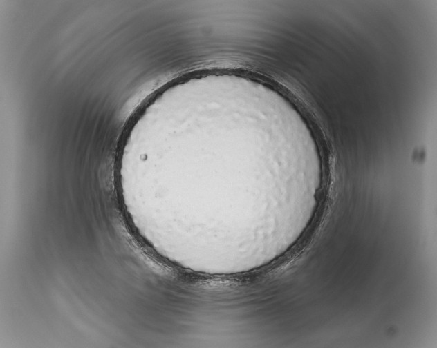 X0000113980834200910231706