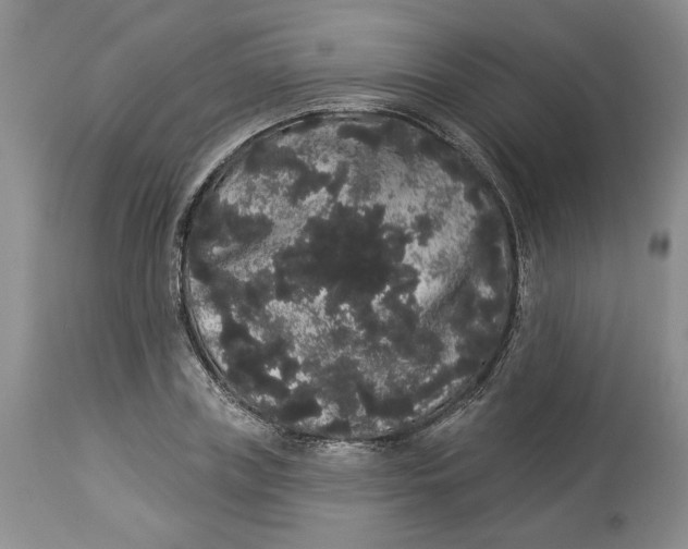 X0000113980835200910231706