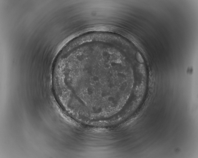 X0000113980837200910231706