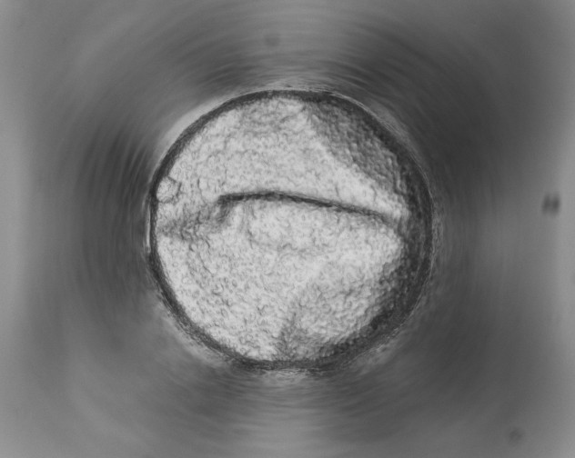 X0000113980838200910231706