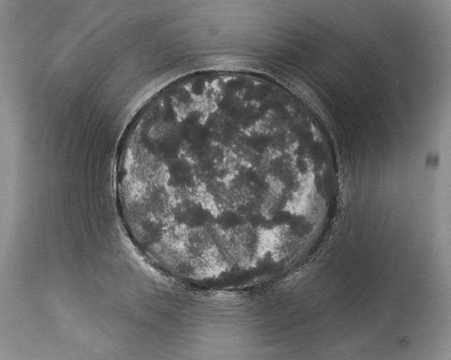 X0000113980839200910231706