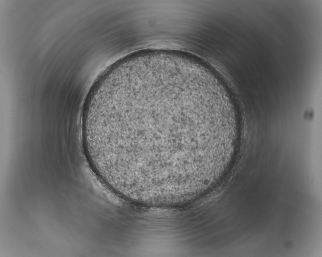 X0000113980840200910231706