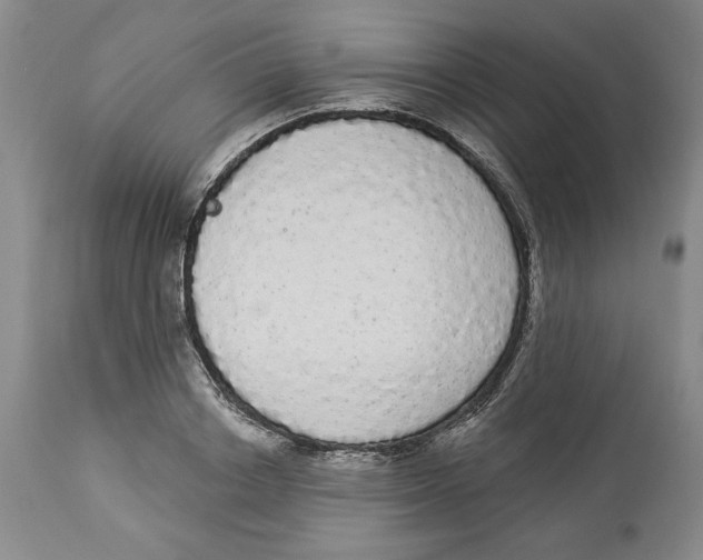 X0000113980842200910231706