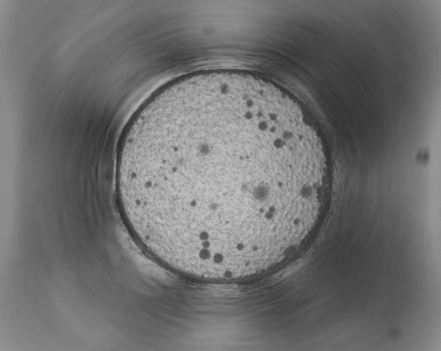 X0000113980844200910231706