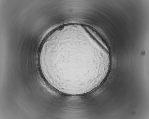 X0000113980846200910231706