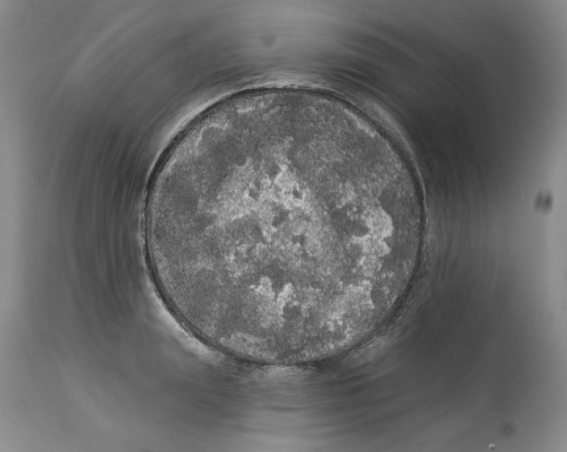 X0000113980847200910231706