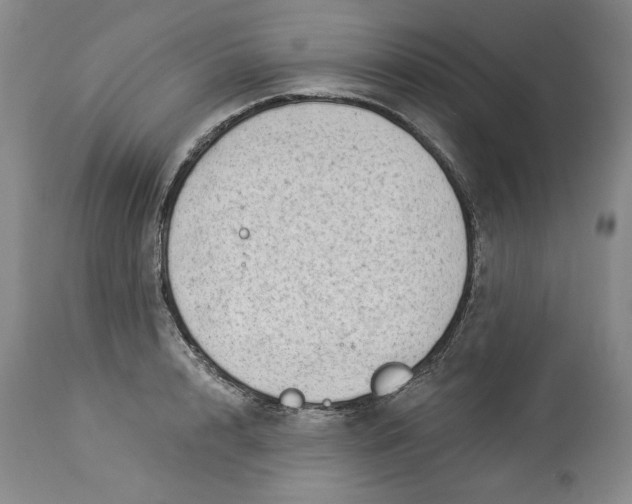 X0000113980848200910231706