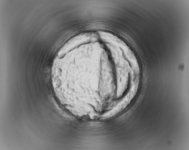 X0000113980849200910231706