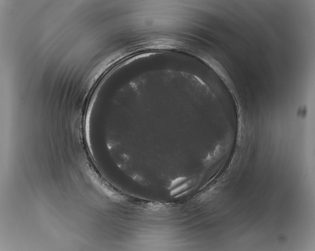 X0000113980850200910231706