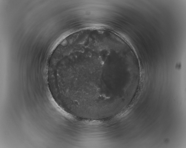 X0000113980851200910231706