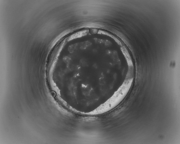 X0000113980853200910231706