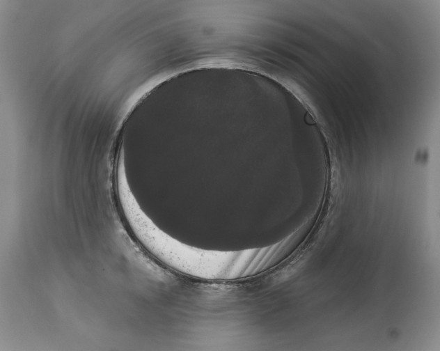 X0000113980854200910231706