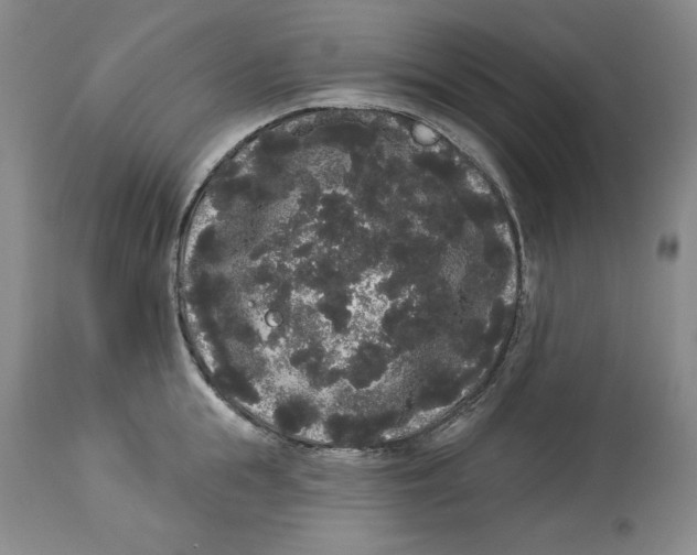 X0000113980855200910231706